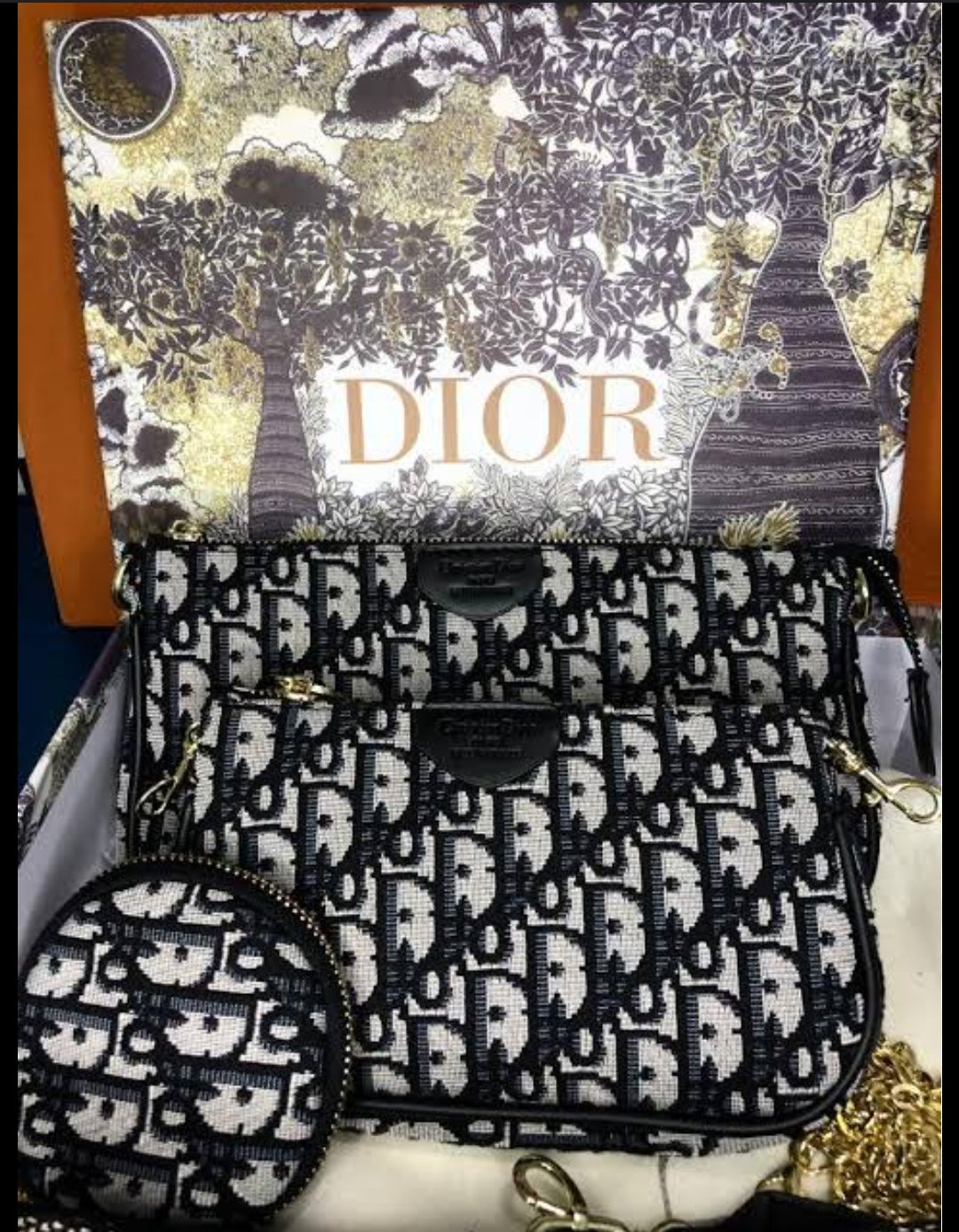 Dior Multi Pochette Embroidery Bag For Women
