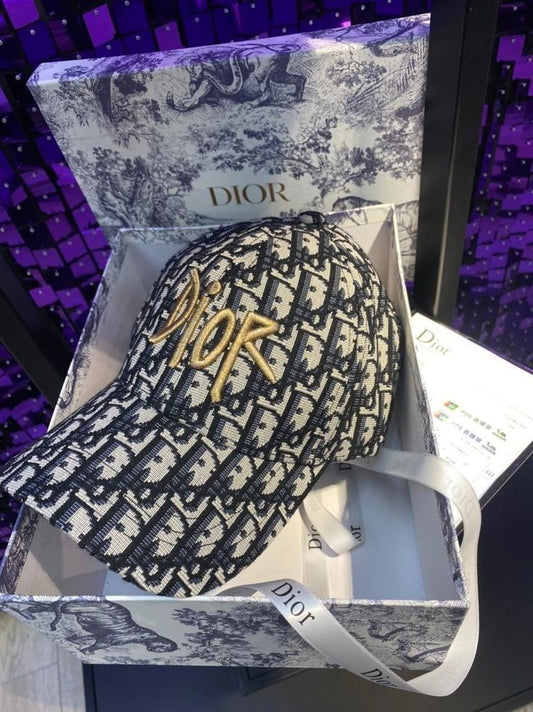 Dior Printed Embroidered Blue Cap