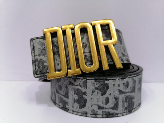 Dior Printed Golden Buckle Belt